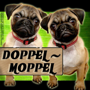Various Artists - Doppel Moppel
