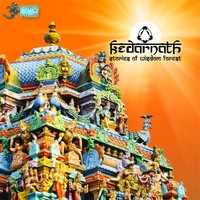 Kedarnath - Stories of Wisdom Forest