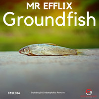 MR EFFLIX - Groundfish EP