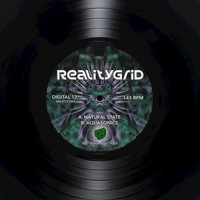 RealityGrid - Natural State
