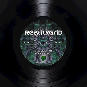 RealityGrid - Natural State