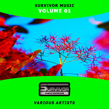 Various Artists - Survivor Music, Vol. 01
