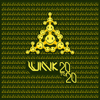 Josh Wink - 20 to 20 (Explicit)