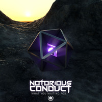 Notorious Conduct - What You Waiting For
