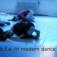 Michael Wall - BFA in Modern Dance