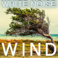 Pink Noise White Noise - White Noise Wind