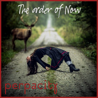Perpacity - The order of Now