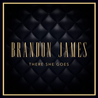 Brandon James - There She Goes
