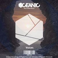 Kelly Laice - Voice EP