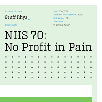 Gruff Rhys - No Profit in Pain