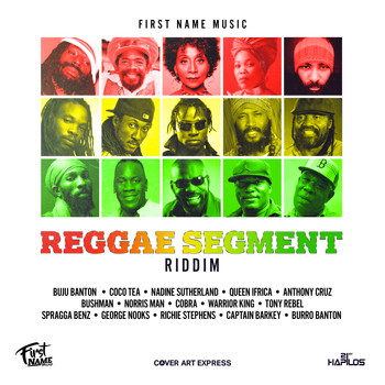 Various Artists - Reggae Segment Riddim