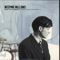 Weeping Willows - When You Are Asleep