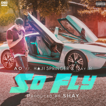 AO - So Fly - Single (Explicit)