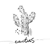 N - Cactus