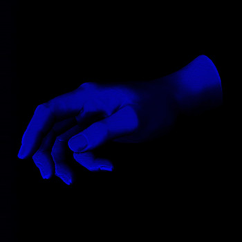 Fern - Bruises