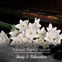 Gentle Piano Music, Piano Masters, Classic Piano - 13 Tranquil Piano Classics for Study & Relaxation