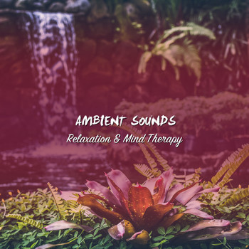 Spa, Spa Music Paradise, Spa Relaxation - 13 Ambient Sounds for Relaxation and Mind Therapy
