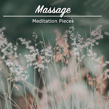 Spa, Spa Music Paradise, Spa Relaxation - 12 Massage Relaxation Meditation Pieces