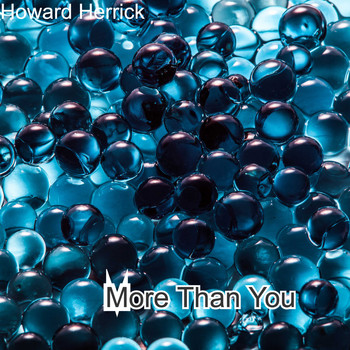 Howard Herrick / - More Than You