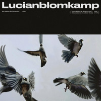 LUCIANBLOMKAMP - Sick Of What I Don't Understand, Pt. 3