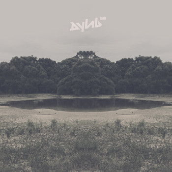Dylab - A King Without a Castle