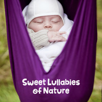 Dream Baby - Sweet Lullabies of Nature