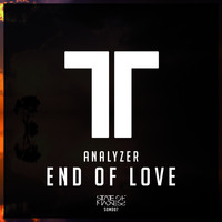 Analyzer - End Of Love