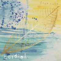 freecube - Cordial