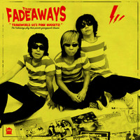 The Fadeaways - Transworld 60's Punk Nuggets