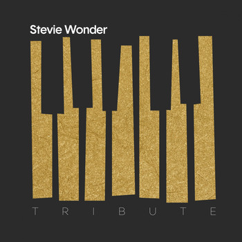 Various Artists - A Tribute to Stevie Wonder