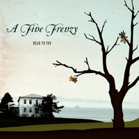 A Fine Frenzy - Near To You (Demo)