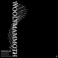 Woolymammoth - Meridian (Explicit)