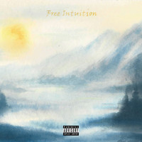 Malik - Free Intuition