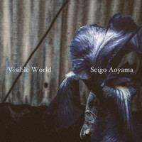 Seigo Aoyama - Visible World