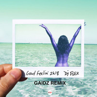 DJ Flex - Good Feelin' 2k18 (Gaidz Remix)