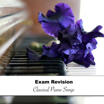 Piano Pianissimo, Exam Study Classical Music, Exam Study Classical Music Orchestra - 13 Exam Revision Piano Classical Songs