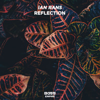 Ian Rans - Reflection