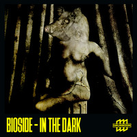 Bioside - In the Dark