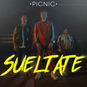 Picnic - Sueltate