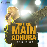 Ash King - Tere Bin Main Adhura - Single