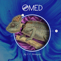 OMED - Strangers