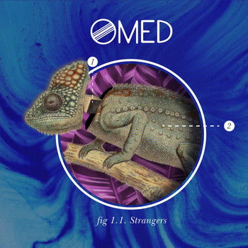 OMED - Strangers