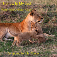 Peter Allan - Hollow in My Bed