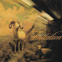 Ammi - Imitation