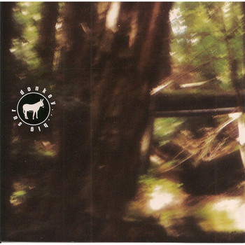 Donkey - Big Sur