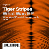 Tiger Stripes - What Was EP
