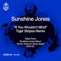 Sunshine Jones - If You Wouldn't Mind (Tiger Stripes Remixes)