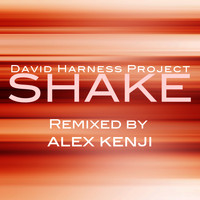 David Harness Project - Shake
