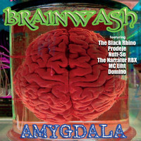 Brainwash - Amygdala (Explicit)
