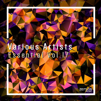 Various Artists - Essential, Vol. 17